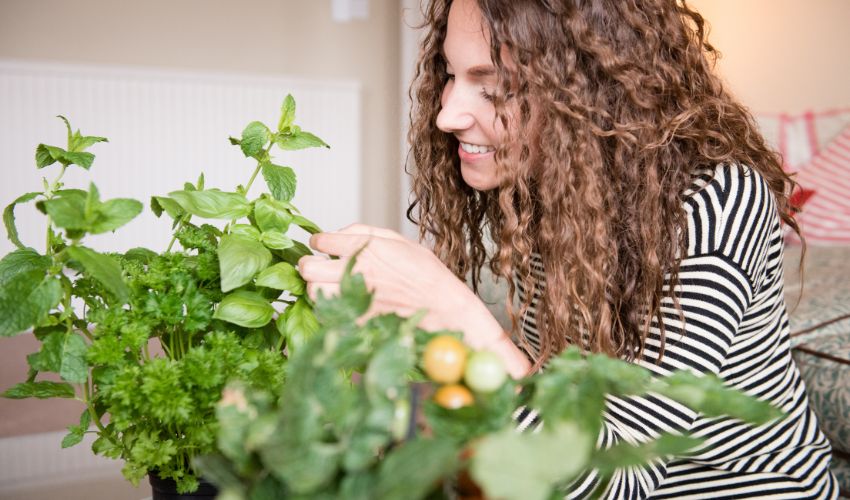 The Ultimate Guide to the Best Watering Schedule for Indoor Plants: Tips and Tricks